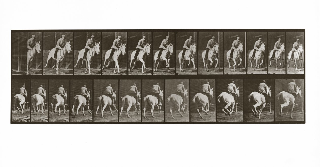 Galopujący koń z jeźdźcem, płyta 635 z Animal Locomotion, 1887 autorstwa Eadweard Muybridge
