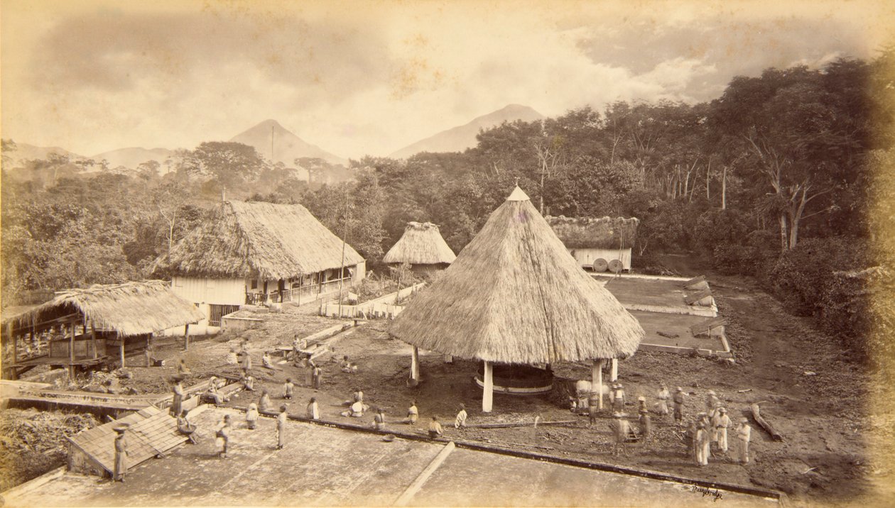 Hacienda William Nelson, San Isidro, Gwatemala autorstwa Eadweard Muybridge