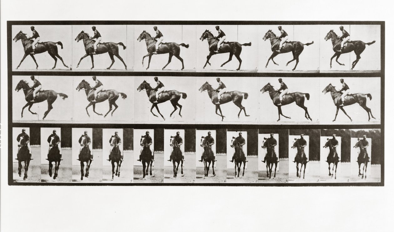 Koń i jeździec, tabliczka 621 z lokomocji zwierzęcej, 1887 autorstwa Eadweard Muybridge