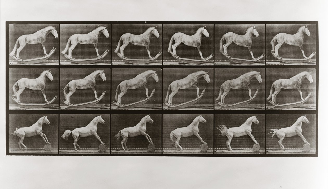 Koń na biegunach i koń toczący beczkę, płyta 649 z Animal Locomotion, 1887 autorstwa Eadweard Muybridge