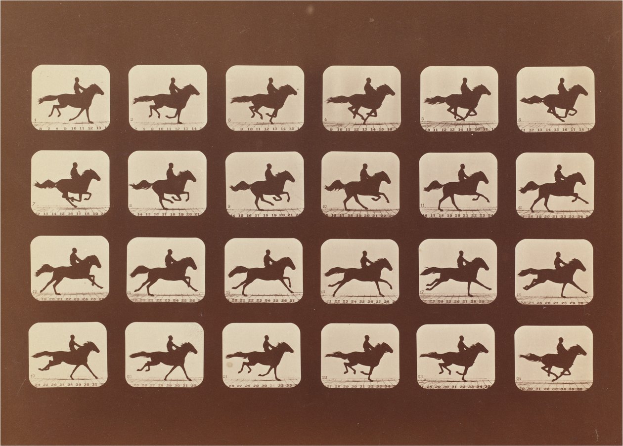 Konie. Działanie. Phyrne L. nr 40 autorstwa Eadweard Muybridge