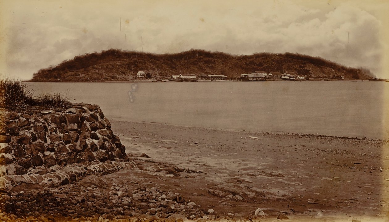 Wyspa Naos, z Perico, Zatoka Panamska autorstwa Eadweard Muybridge