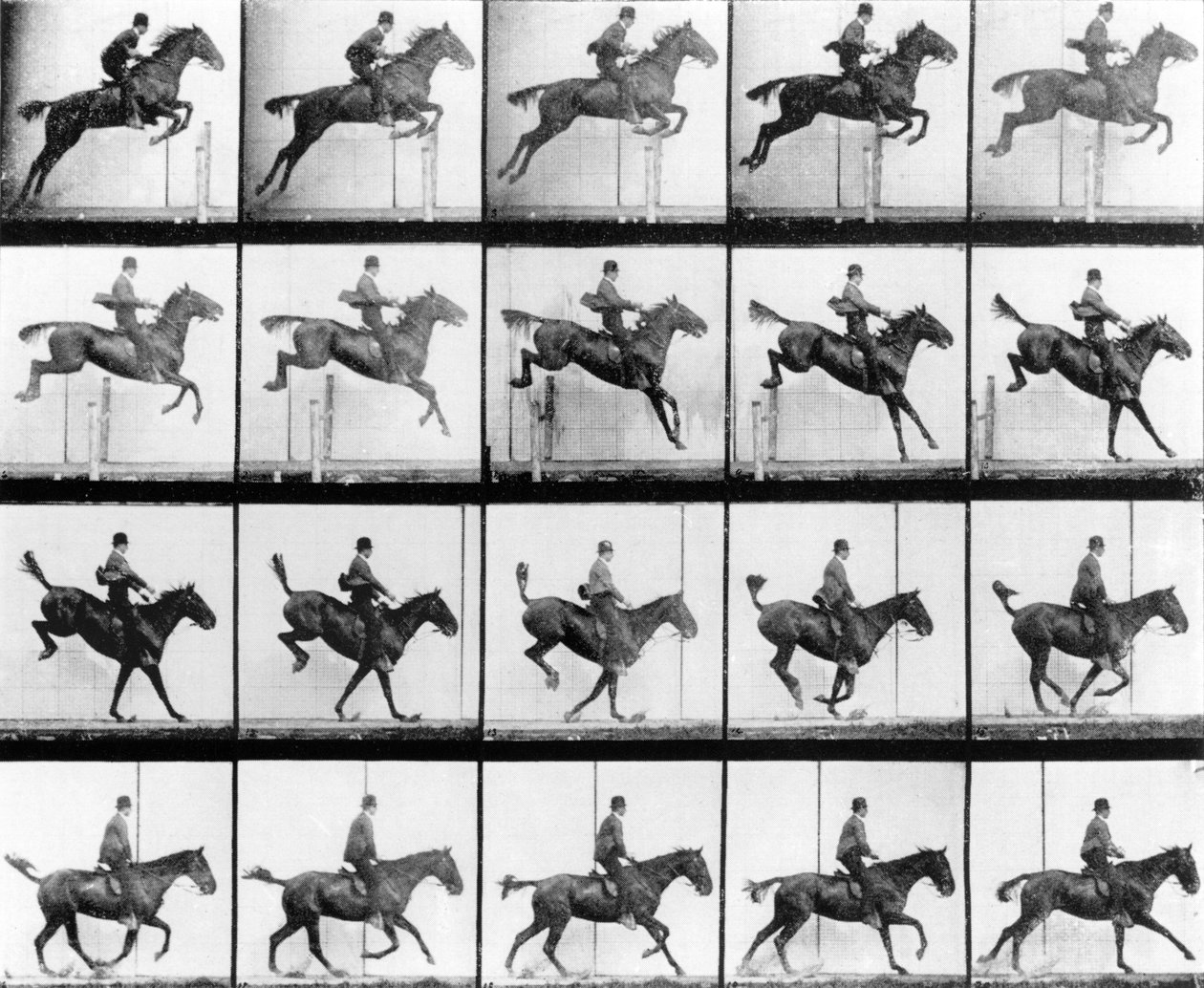 Man and Horse jumping, z książki „Animals in Motion” Muybridge w Londynie, opublikowanej w 1907 r. autorstwa Eadweard Muybridge