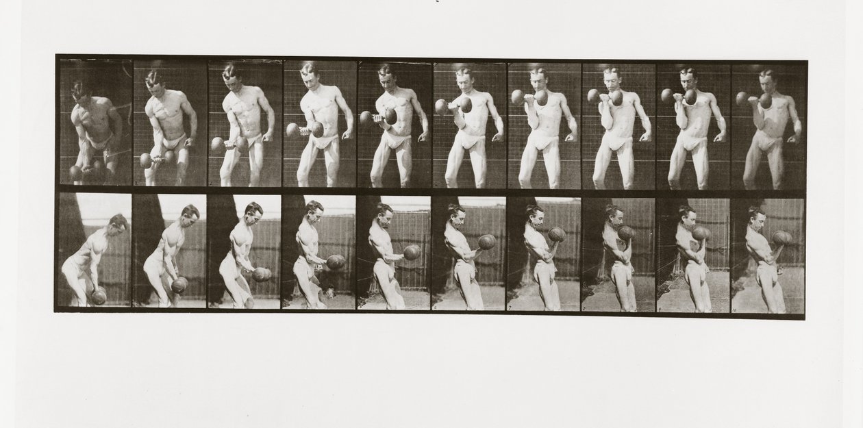 Mężczyzna podnoszący hantle, Tablica 324 z Animal Locomotion, 1887 autorstwa Eadweard Muybridge