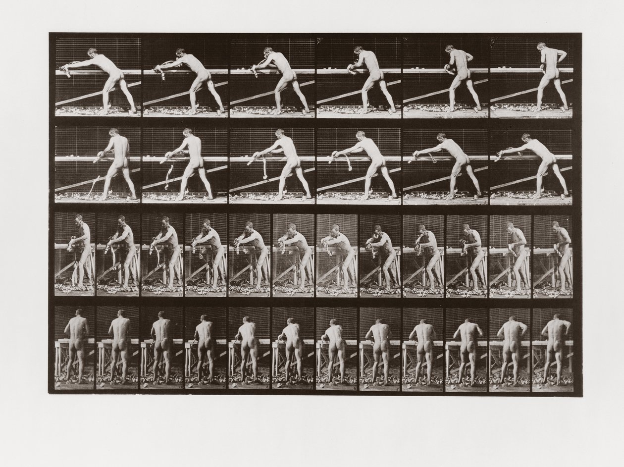 Mężczyzna strugający drewno, płyta 379 z Animal Locomotion, 1887 autorstwa Eadweard Muybridge