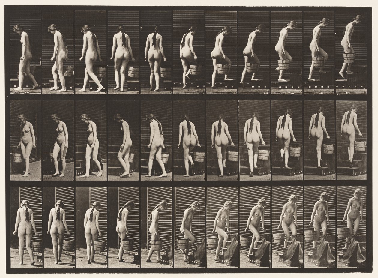 Płyta 102. Schody skręcające i wznoszące, Wiaderko z wodą w Rt Hand, 1872-1885 autorstwa Eadweard Muybridge