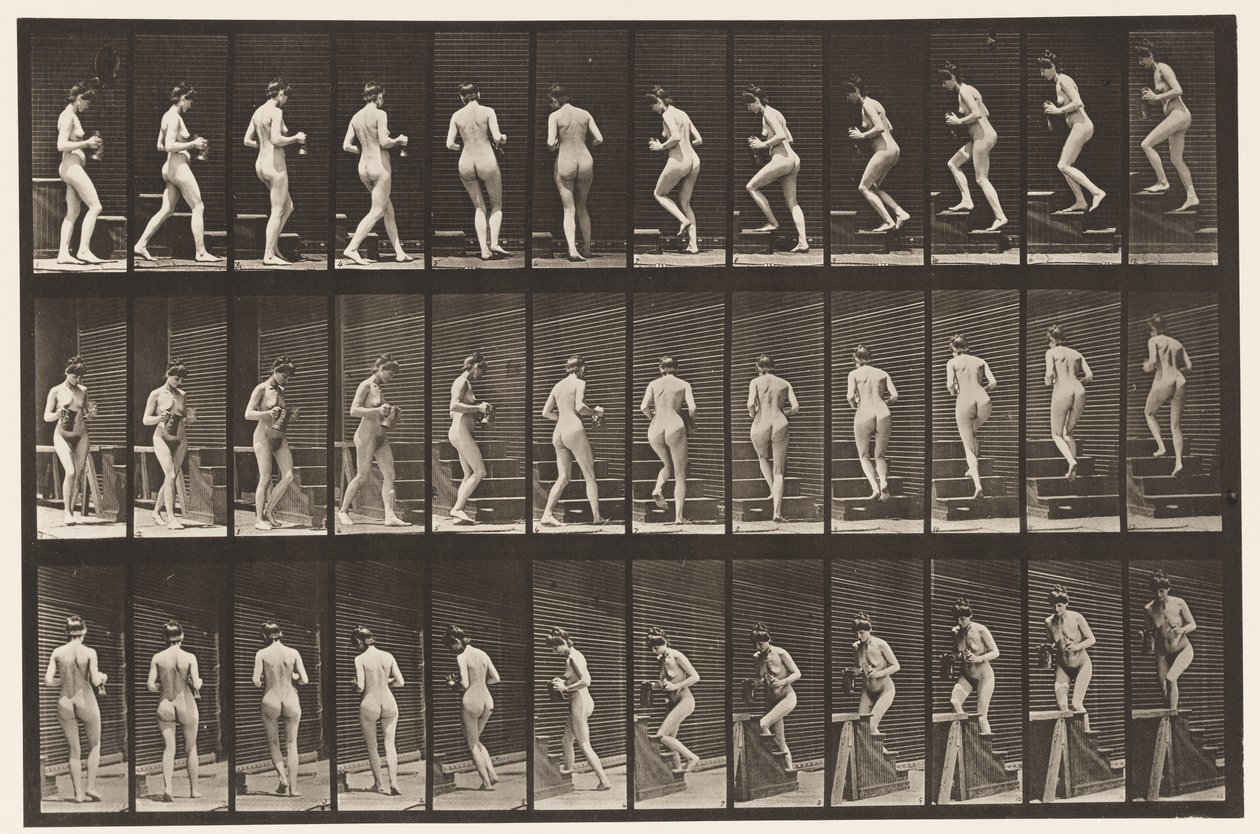 Tablica 103. Schody obrotowe i wznoszące, dzban i kielich w rękach, 1872-1885 autorstwa Eadweard Muybridge