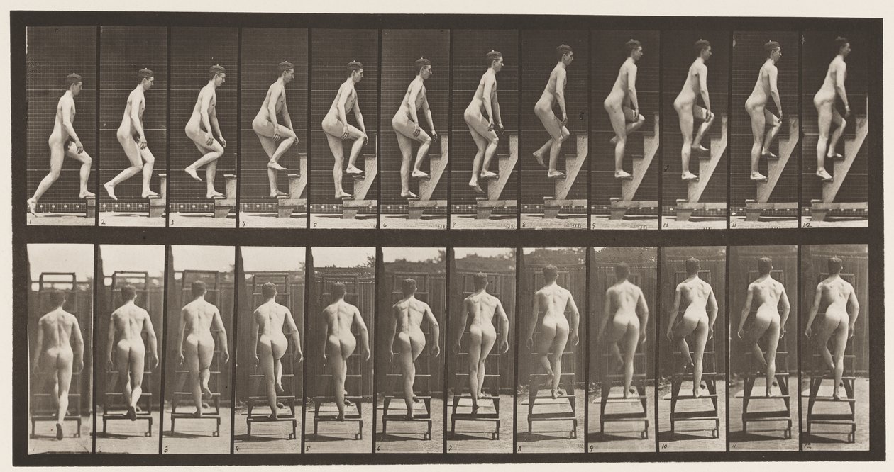 Płyta 109. Drabina wstępująca, 1872-1885 autorstwa Eadweard Muybridge