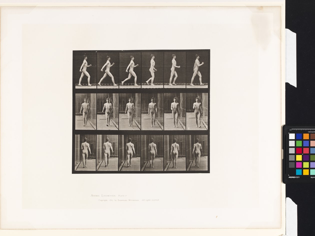 Płyta 10.Chodzenie autorstwa Eadweard Muybridge