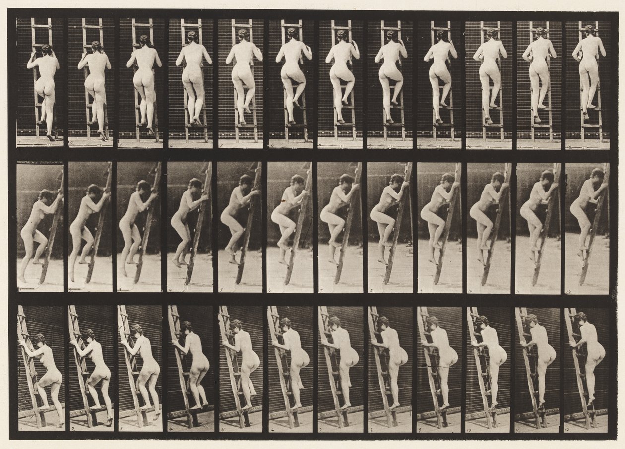 Płyta 112. Drabina wstępująca autorstwa Eadweard Muybridge