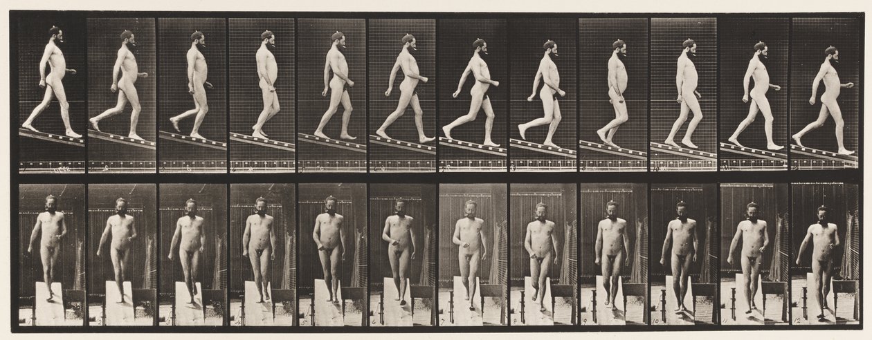 Płyta 113. Nachylenie malejąco, 1 na 4, 1872-1885 autorstwa Eadweard Muybridge