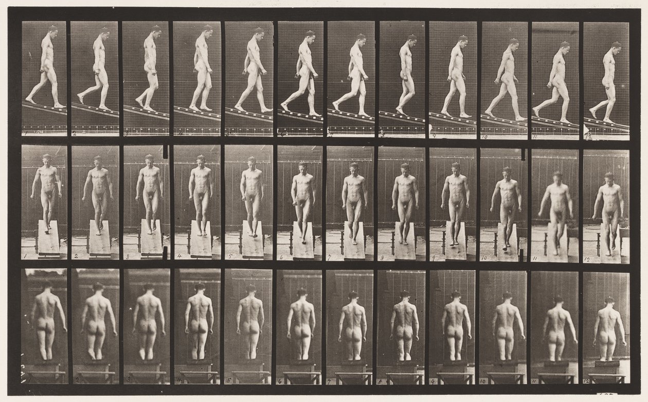 Płyta 114. Nachylenie malejące, kąt 1 w 4, 1872-1885 autorstwa Eadweard Muybridge
