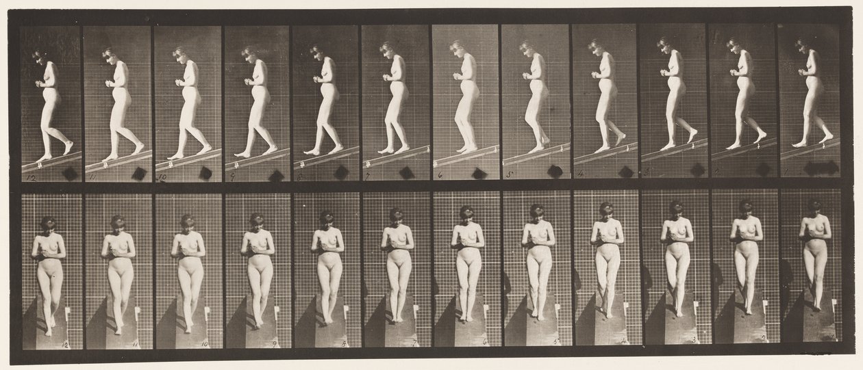 Płyta 115. Opadająca pochylnia z rękami splecionymi z przodu autorstwa Eadweard Muybridge