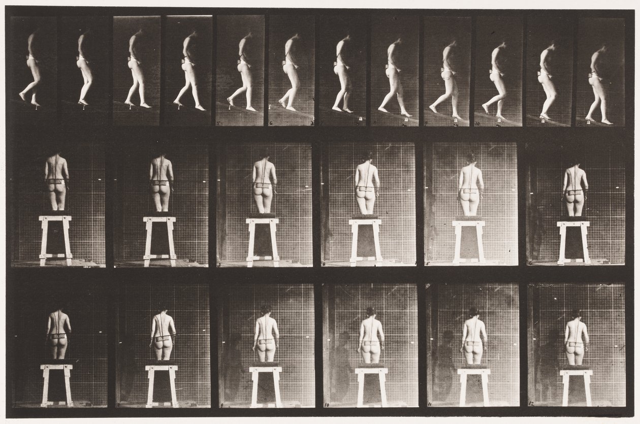Płyta 118. Opadające nachylenie autorstwa Eadweard Muybridge