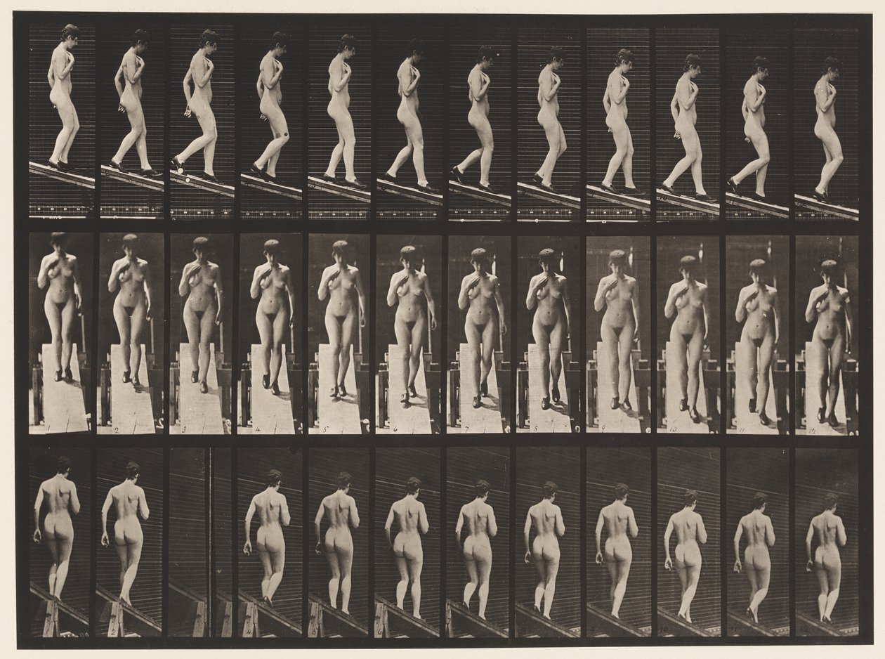Płyta 119. Opadające nachylenie, prawa ręka na piersi (buty) autorstwa Eadweard Muybridge