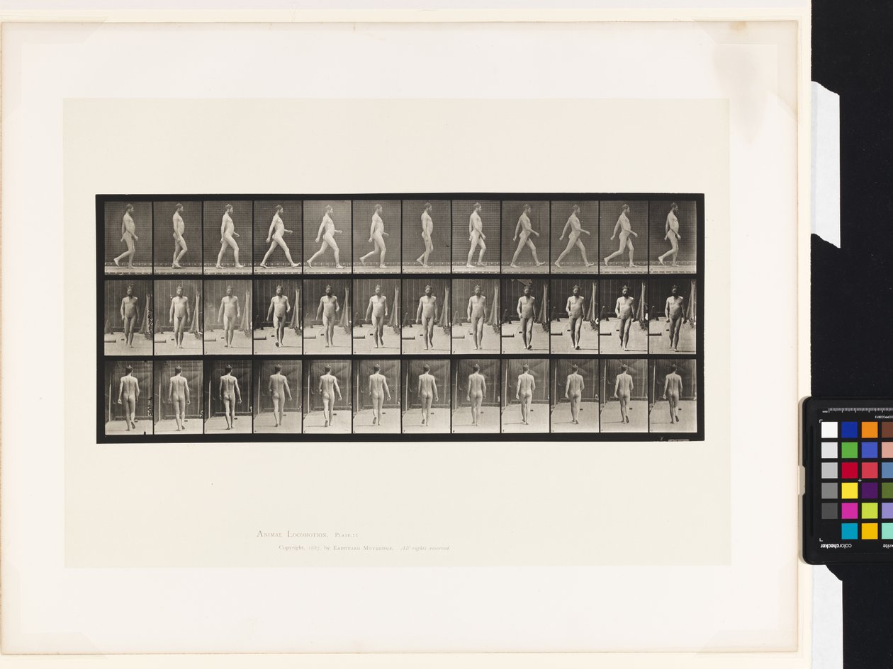 Płyta 11.Chodzenie autorstwa Eadweard Muybridge