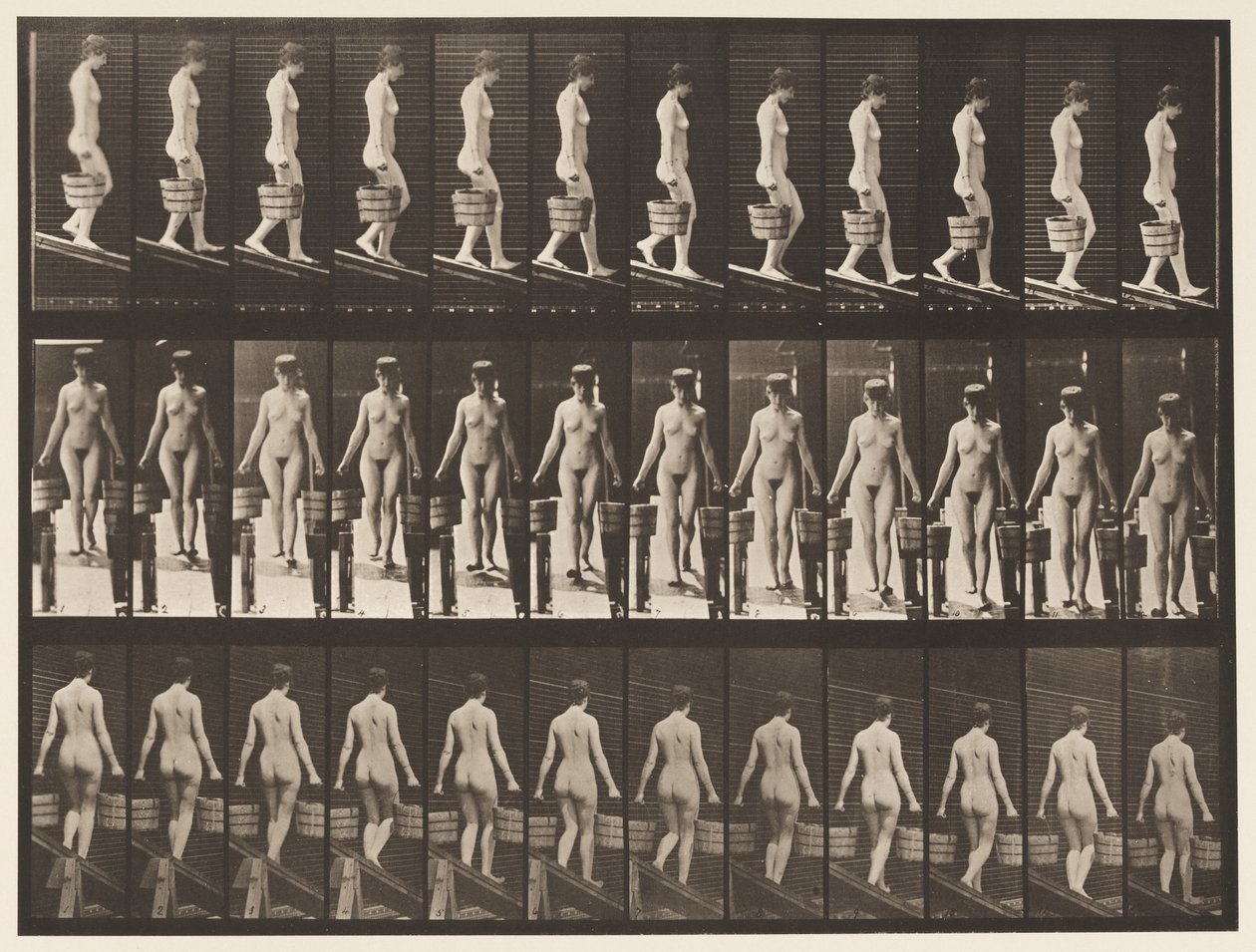 Płyta 122. Opadające pochylenie, wiadro wody w każdej ręce, 1872-1885 autorstwa Eadweard Muybridge