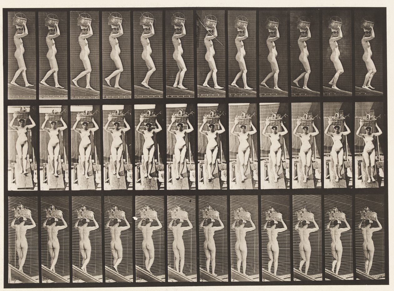 Talerz 123. Opadające nachylenie, 20-funtowy kosz na głowie, z uniesionymi rękami, 1872-1885 autorstwa Eadweard Muybridge