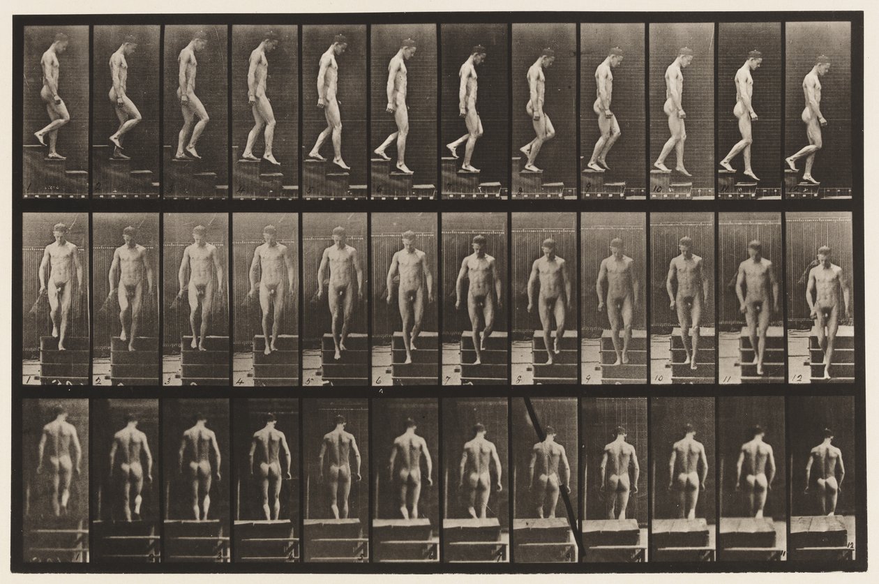 Płyta 125. Schody schodzące autorstwa Eadweard Muybridge