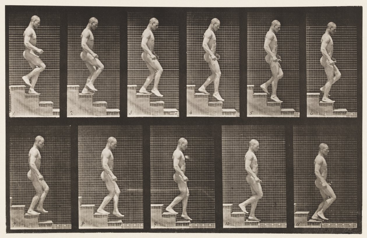 Płyta 126. Schody schodzące autorstwa Eadweard Muybridge