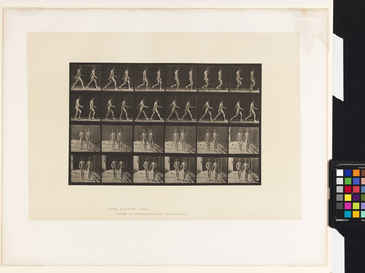 Płyta 12.Chodzenie autorstwa Eadweard Muybridge