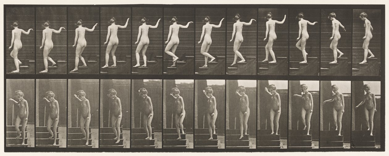 Płyta 132. Zstępujące schody, odwracając się, by się rozejrzeć i machając ręką autorstwa Eadweard Muybridge