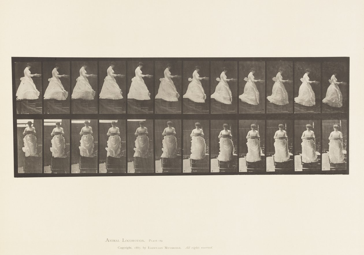 Płyta 134. Schody schodzące z umywalką w rękach autorstwa Eadweard Muybridge