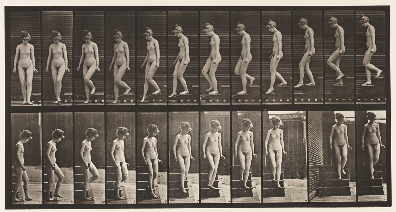 Płyta 137. Zstępujące schody, zawracanie autorstwa Eadweard Muybridge