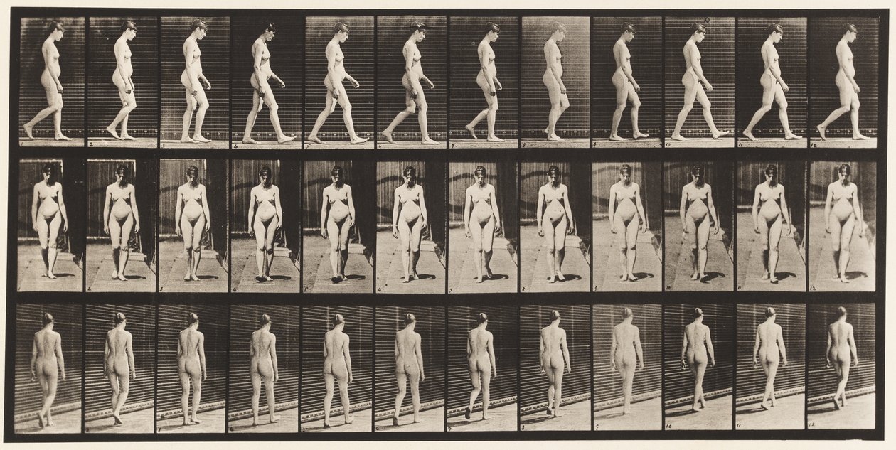 Płyta 13. Spacery, 1872-1885 autorstwa Eadweard Muybridge