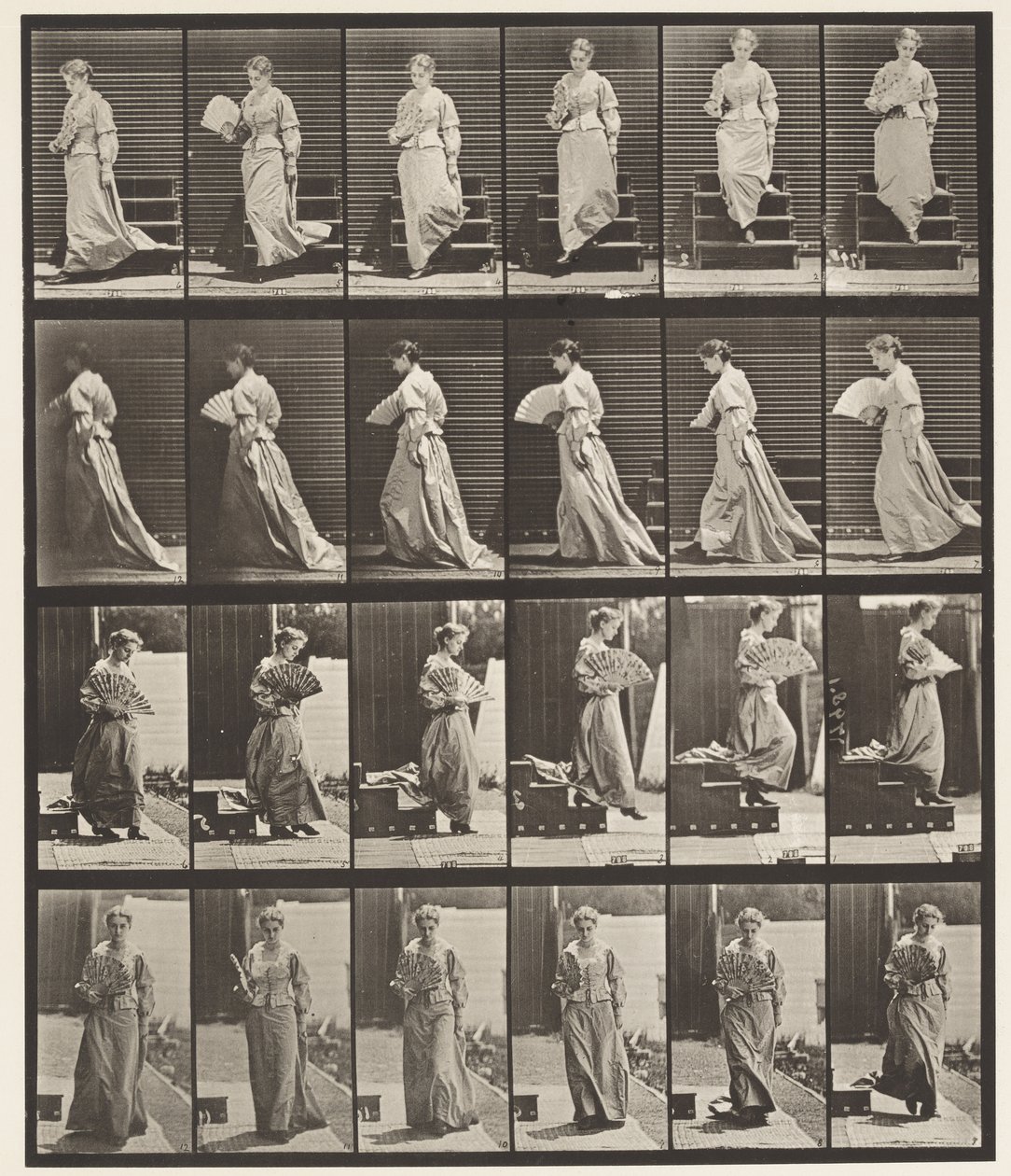 Płyta 141. Zstępujące schody i flirtujący wachlarz autorstwa Eadweard Muybridge