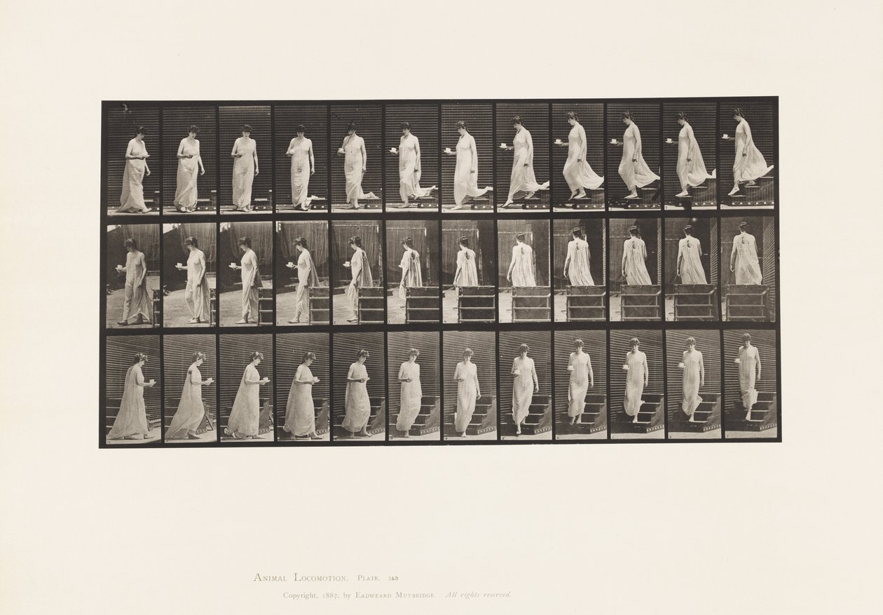 Płyta 143. Opadająca pochylnia, obracająca się filiżanka i spodek w prawej ręce autorstwa Eadweard Muybridge