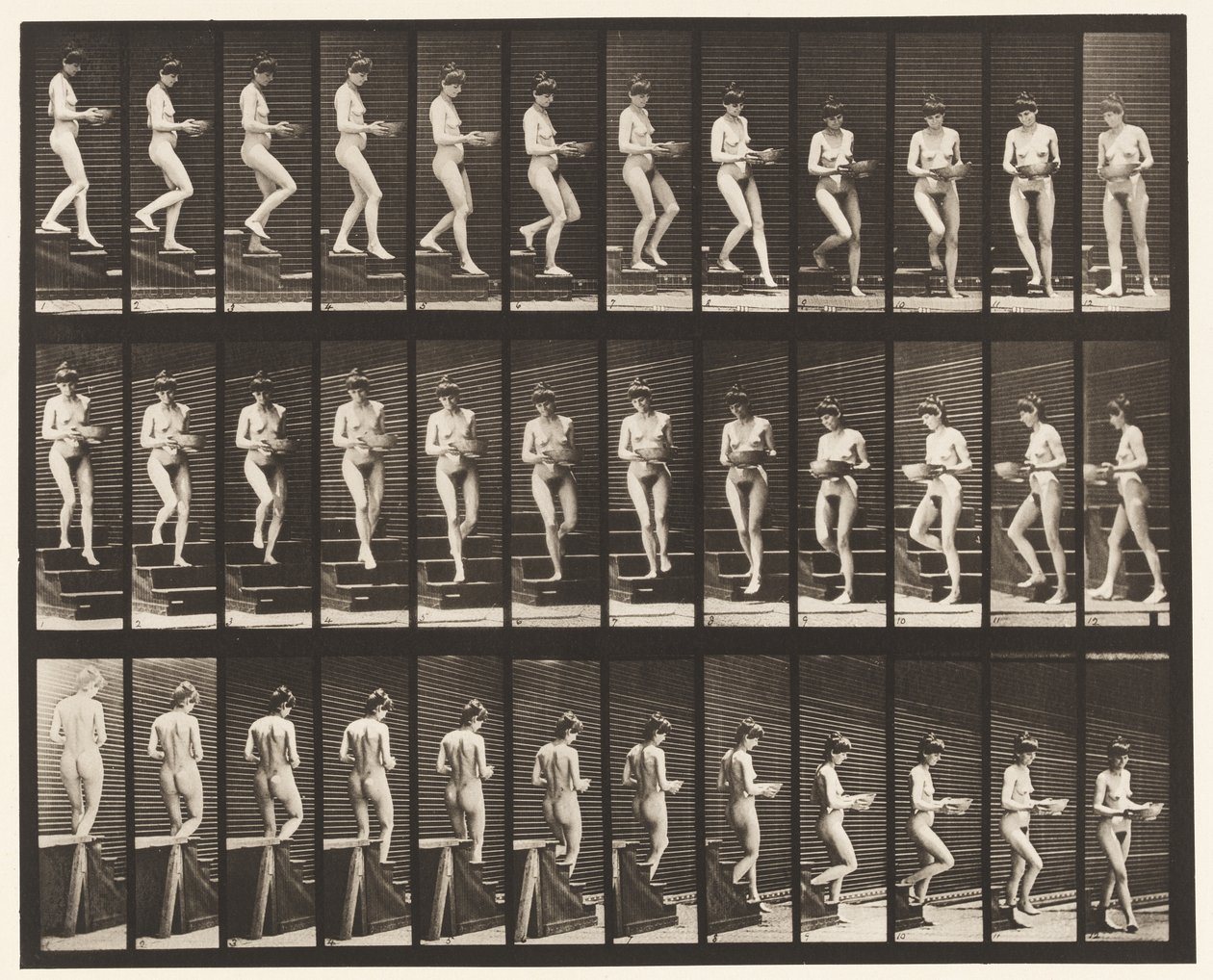 Płyta 144. Schody zstępujące; Obracanie umywalki w rękach autorstwa Eadweard Muybridge