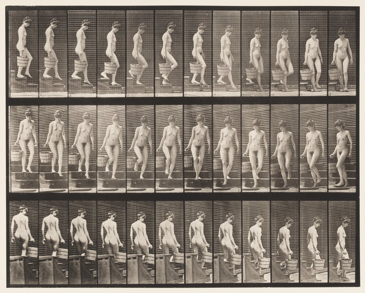 Płyta 145. Schody schodzące; Obracanie wiadra wody w prawej ręce, 1872-1885 autorstwa Eadweard Muybridge