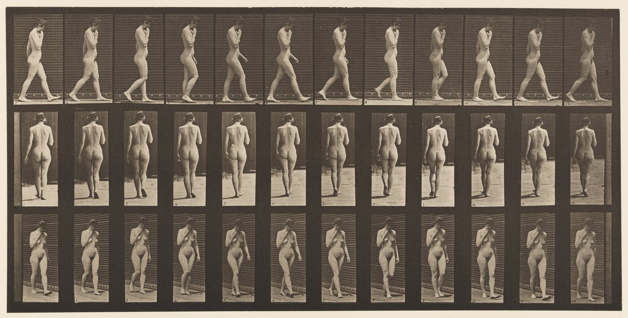 Płyta 14. Chodzenie, prawa ręka przy brodzie, 1872-1885 autorstwa Eadweard Muybridge