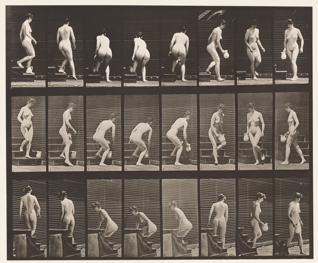 Płyta 150. Schody schodzące; Pochylanie się, podnoszenie dzbanka, obracanie, 1872-1885 autorstwa Eadweard Muybridge
