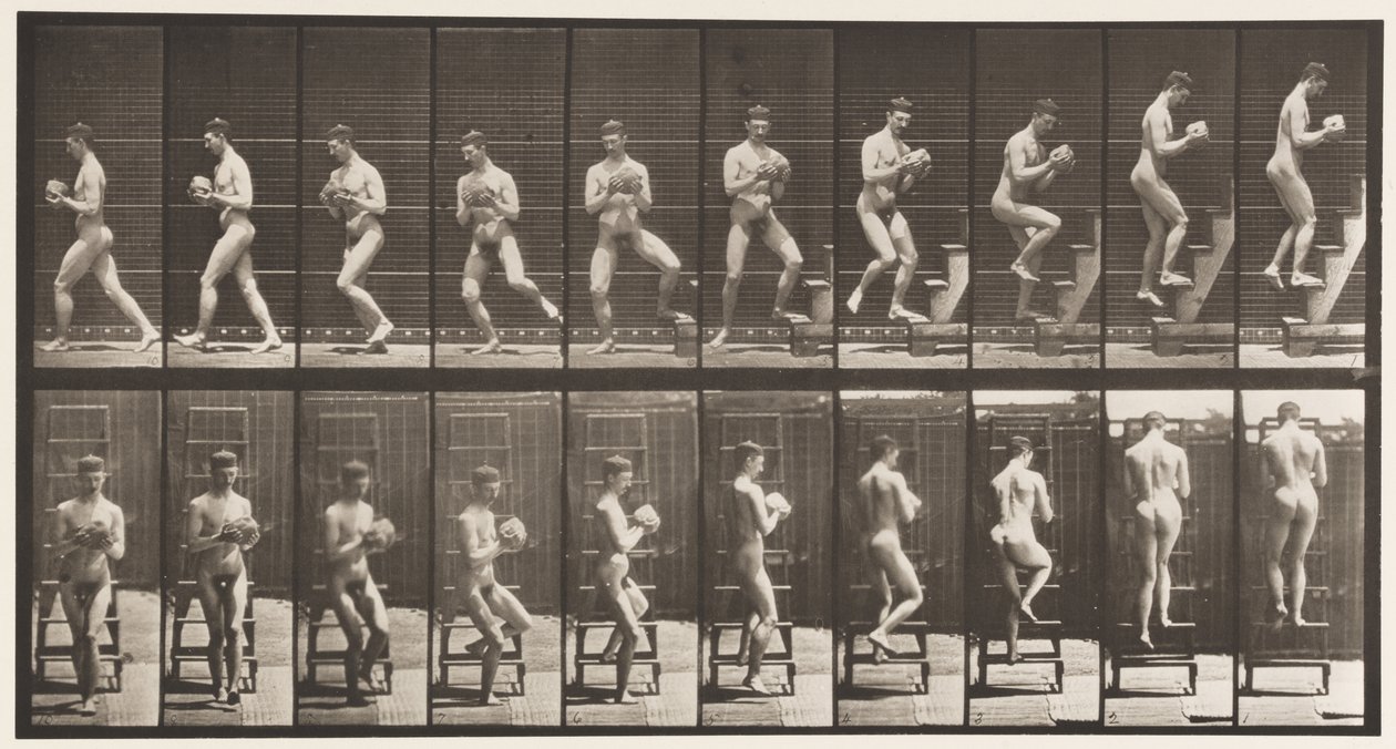 Płyta 151. Drabina schodząca, zawracanie, kamień w dłoniach, 1872-1885 autorstwa Eadweard Muybridge