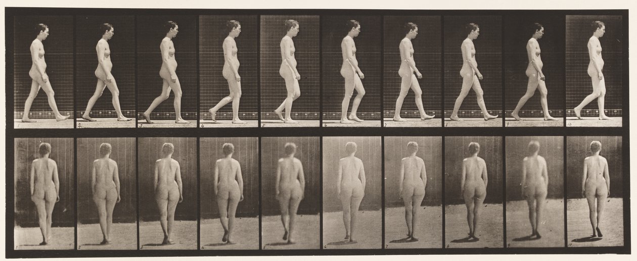 Płyta 15. Chodzenie autorstwa Eadweard Muybridge