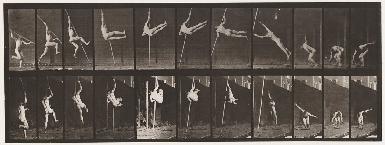 Płyta 164. Skoki; Skok o tyczce, 1872-1885 autorstwa Eadweard Muybridge