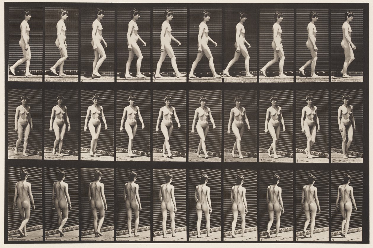 Płyta 16. Chodzenie, 1872-1885 autorstwa Eadweard Muybridge