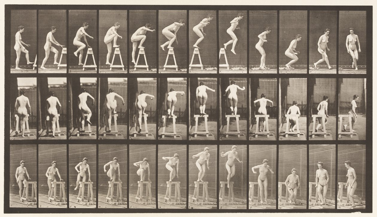 Płyta 171. Wchodzenie na kozioł; Zeskakiwanie, skręcanie autorstwa Eadweard Muybridge