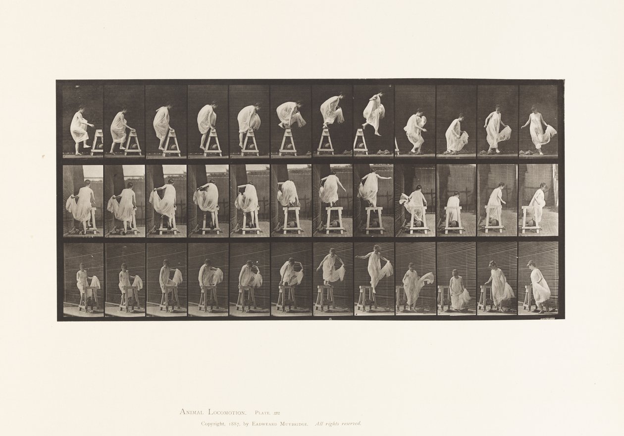 Płyta 172. Nadepnięcie na kozła; Skakanie, skręcanie, 1885 autorstwa Eadweard Muybridge