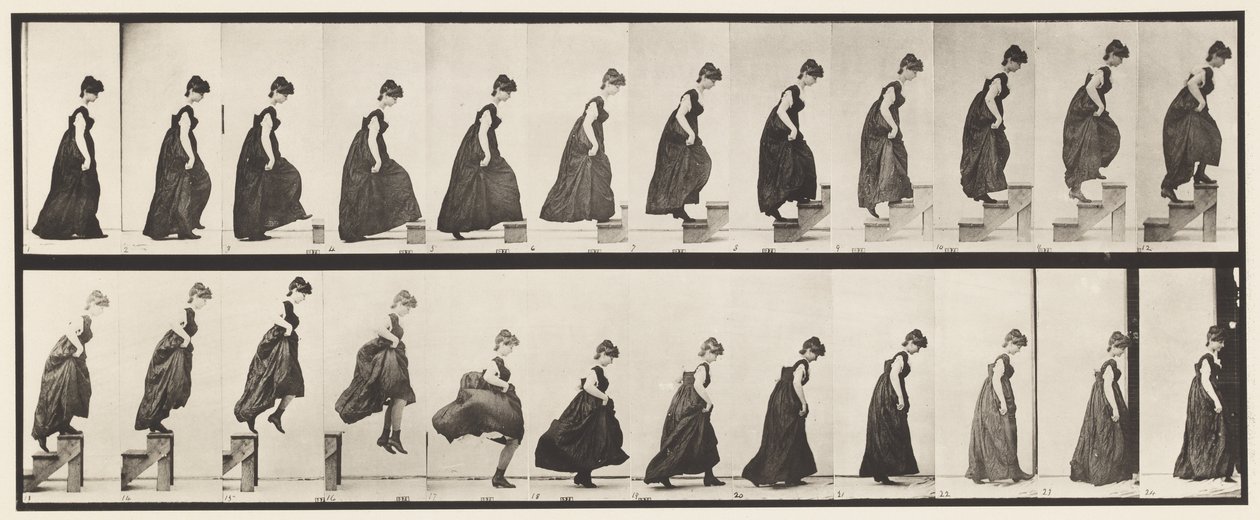Płyta 173. Wchodzenie po schodach i zeskakiwanie, 1885 autorstwa Eadweard Muybridge