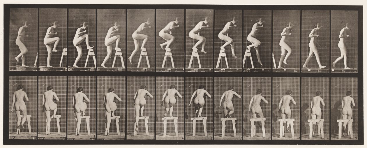 Płyta 178. Wchodzenie i przechodzenie przez kozły autorstwa Eadweard Muybridge