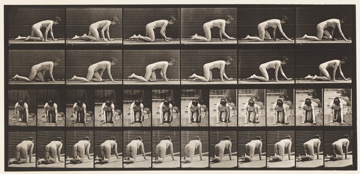Płyta 182. Czołganie się na rękach i kolanach autorstwa Eadweard Muybridge