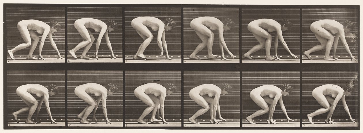 Płyta 183. Chodzenie na rękach i stopach autorstwa Eadweard Muybridge