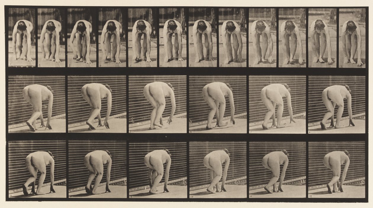 Płyta 184. Chodzenie na rękach i stopach autorstwa Eadweard Muybridge