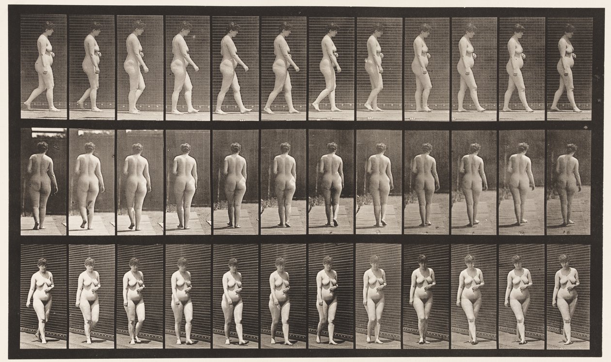 Płyta 18. Chodzenie, lewa ręka przez brzuch, 1872-1885 autorstwa Eadweard Muybridge