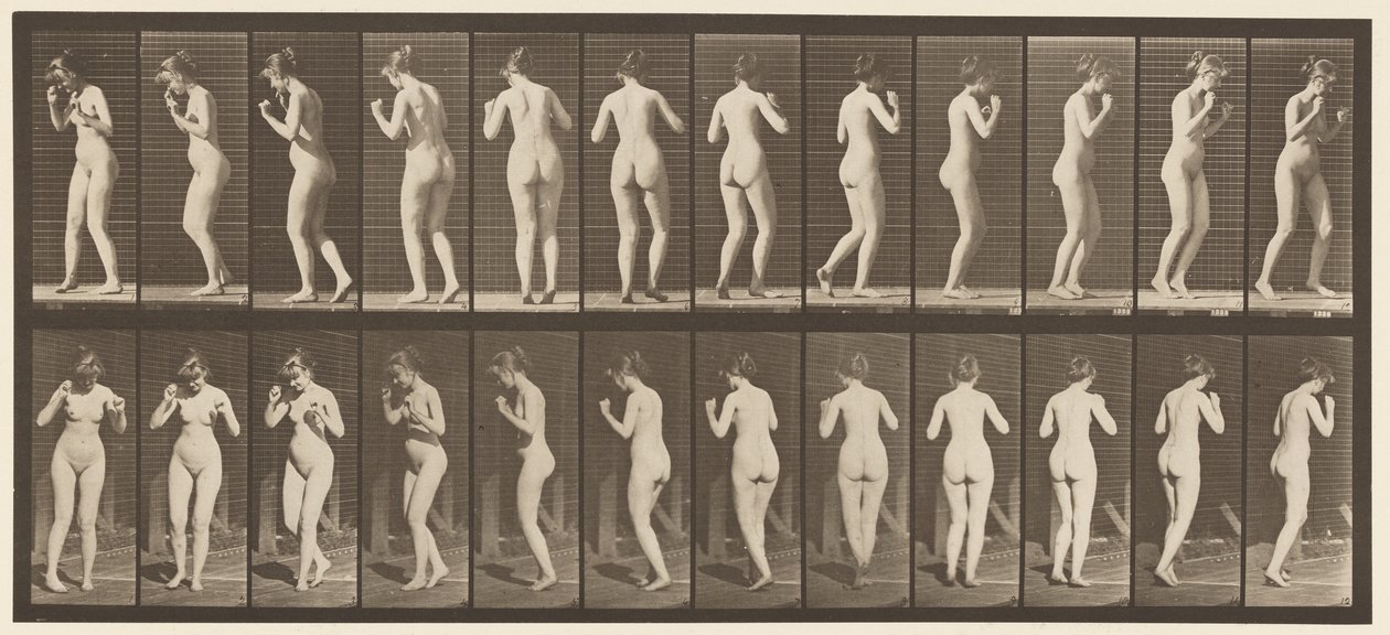 Płyta 195. Walc tańczący autorstwa Eadweard Muybridge