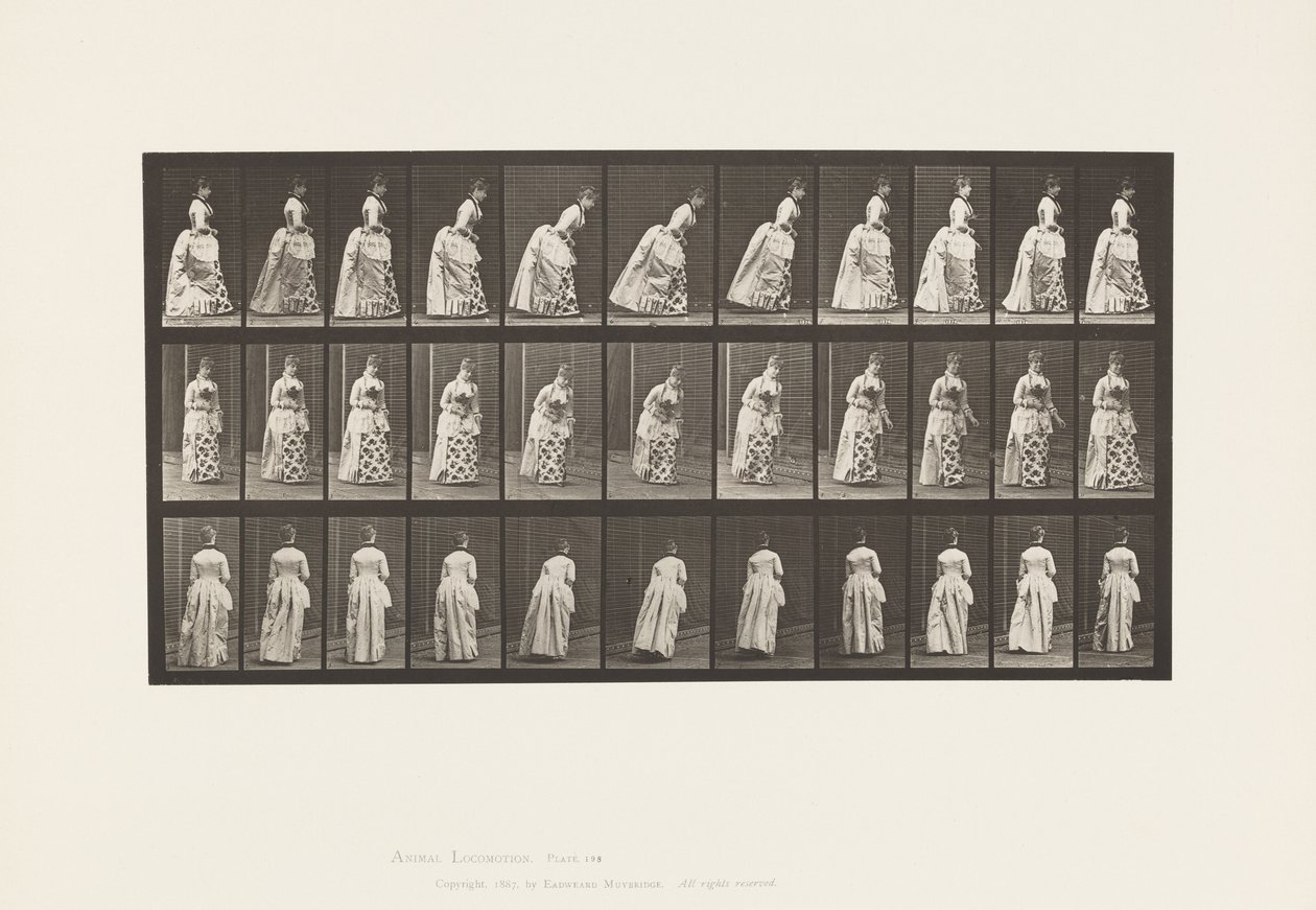Tabliczka 198. Rozprawa sądowa, 1885 autorstwa Eadweard Muybridge