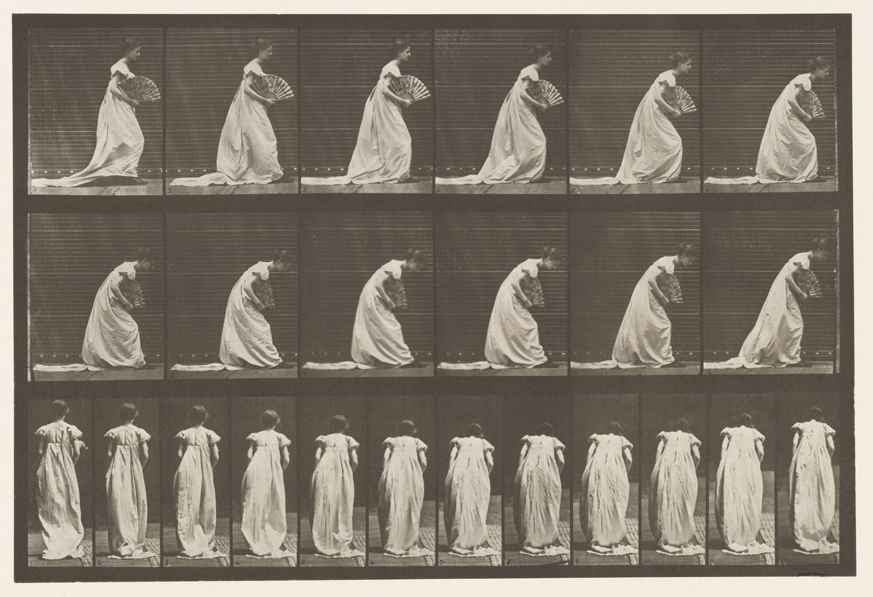 Płyta 199.Courtseying, Wachlarz w Prawej Ręce, 1885 autorstwa Eadweard Muybridge